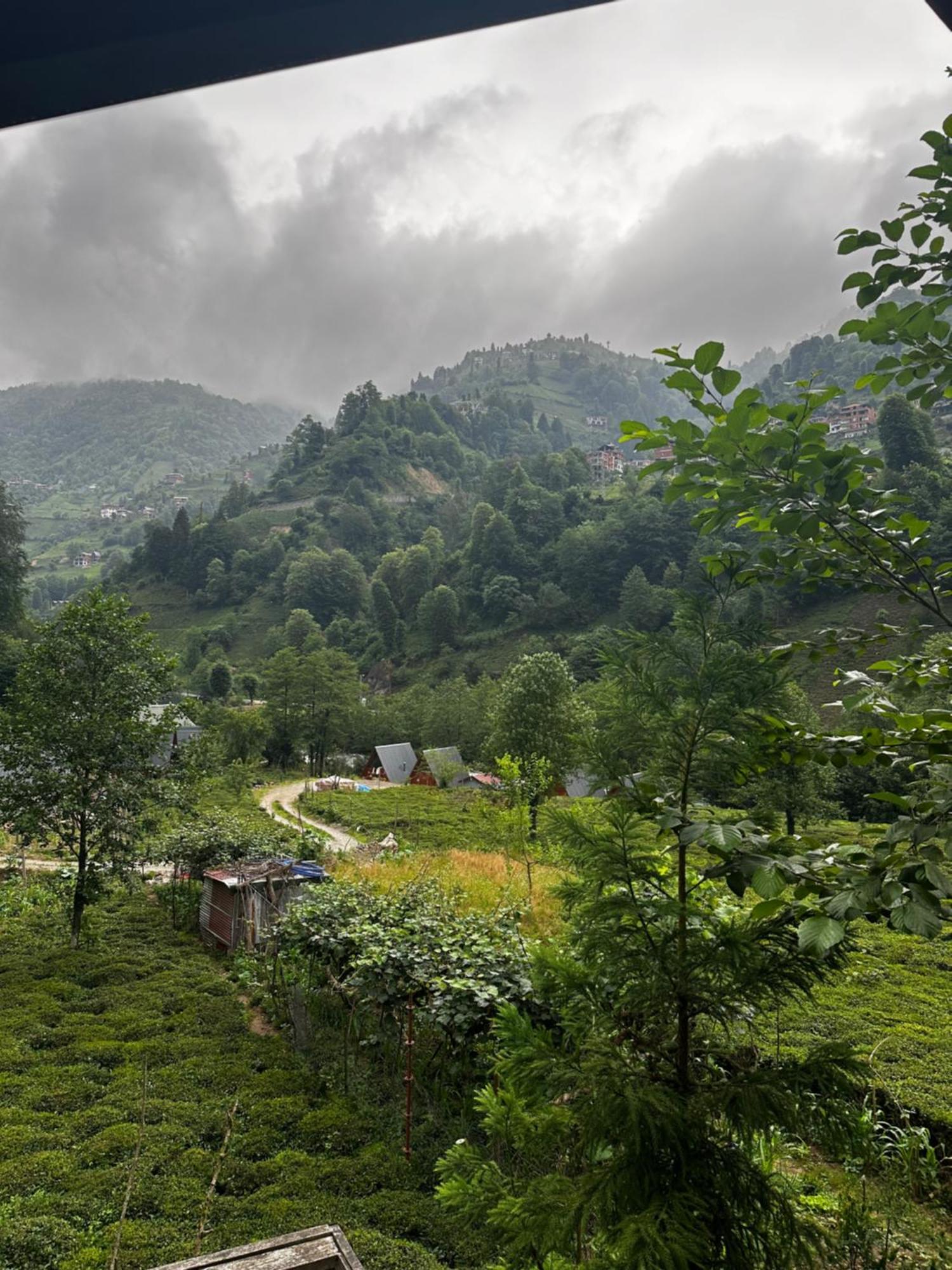 Tanura Bungalows Çamlıhemşin Dış mekan fotoğraf