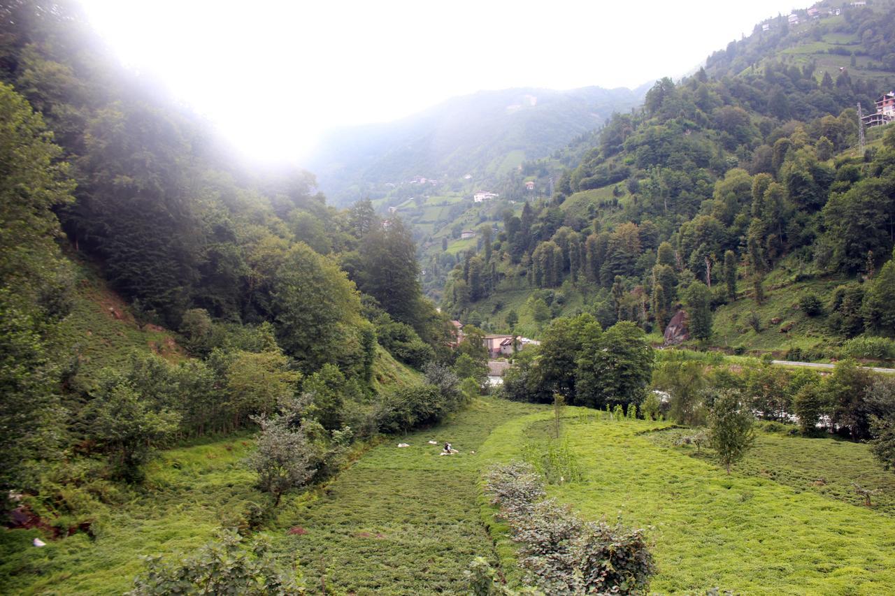 Tanura Bungalows Çamlıhemşin Dış mekan fotoğraf
