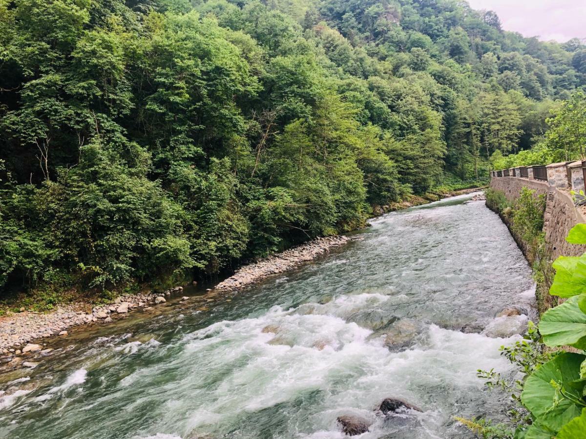 Tanura Bungalows Çamlıhemşin Dış mekan fotoğraf